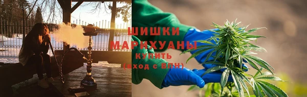 гидропоника Пересвет