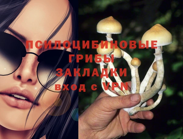 2c-b Видное