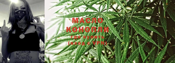 гидропоника Пересвет