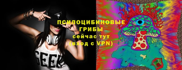 гидропоника Пересвет